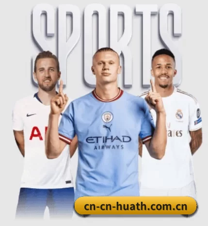 五大服务分区,信息按项目分类 - 多运动项目内容板块 - hth